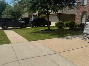 Michael S.'s Yard Cutting service result