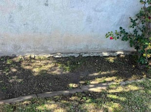 Weeding by Fernando Gomez Rodriguez for Angela T. in Los Angeles, CA