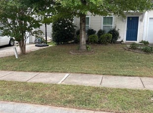 Al A.'s Yard Cutting service result
