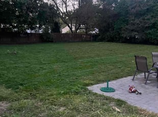 Becky Z.'s Lawn Care service result