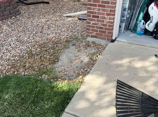 Weeding by Luka Stanley for Dan G. in Aurora, CO