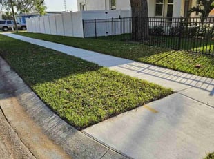 falaria p.'s Lawn Mowing Service service result