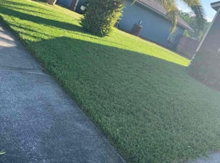 Toni T.'s Lawn Mowing Service service result