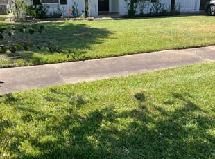Natalie N.'s Lawn Care service result