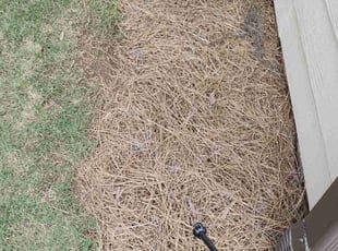 Weeding by Scaroline LLC for David K. in Alpharetta, GA