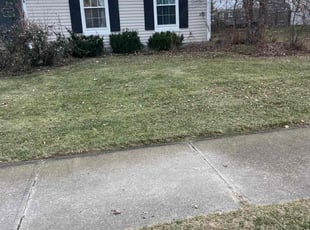 William C.'s Lawn Maintenance service result
