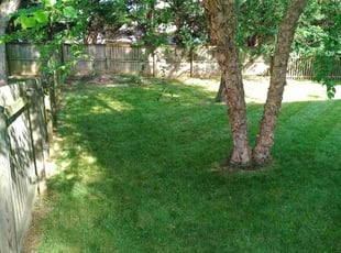 Aaron R.'s Lawn Care service result