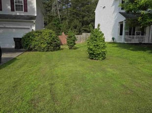 Joseph W.'s Lawn Mowing Service service result