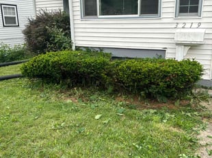 Bush Trimming by Chris Smith for Teia S. in Indianapolis, IN