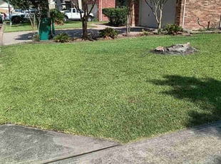 Erin P.'s Lawn Mowing service result