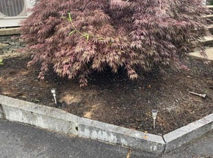 Weeding by David Cardillo for Tyler W. in East Providence, RI
