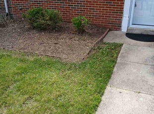 Weeding by Rodney Powell for Cal G. in Upper Marlboro, MD