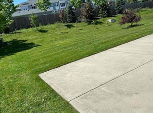 Lakeshia H.'s Lawn Care service result