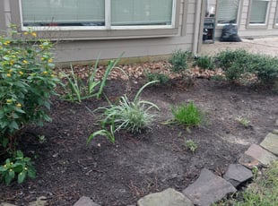 Cleanups by Sandra Ramirez for Courtney B. in Magnolia, TX