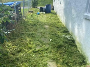 Cleanups by Schonce Slappy for CJ B. in Pittsburgh, PA
