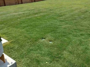 Jon S.'s Lawn Mowing Service service result