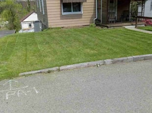 Faye T.'s Lawn Service service result
