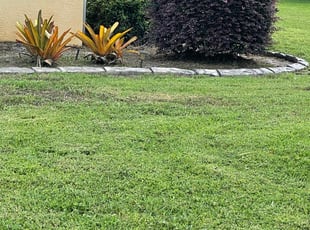 Weeding by Craig S for Keith G. in Winter Haven, FL