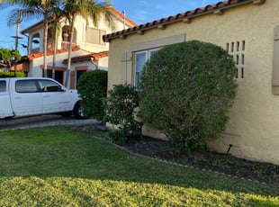 Bush Trimming by Carmelo Mendez jr for Marc G. in San Diego, CA