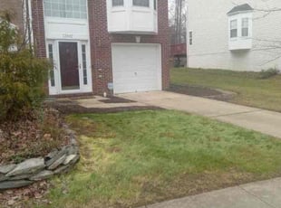 Leaf Removal by Manny Chavez for David C. in Woodbridge, VA