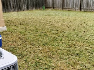Leaf Removal by Derek Schoenfeld for Christopher H. in San Antonio, TX