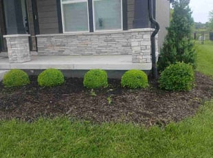 Bush Trimming by Julio Almestica for Jay W. in Lee's Summit, MO