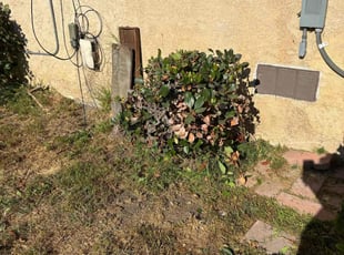 Bush Trimming by Fernando Gomez Rodriguez for Francis P. in Los Angeles, CA
