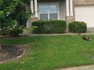 Bush Trimming by James Steele for Jason F. in Stallings, NC