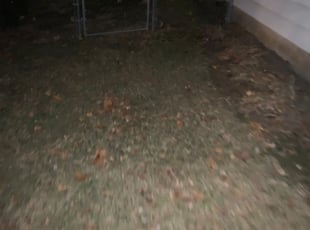 Leaf Removal by Nick Robinette for David D. in Kansas City, MO