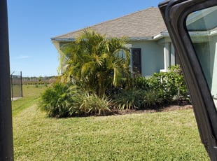 Bush Trimming by Josh Whitbread for Jorge R. in Davenport, FL