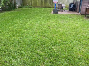 Wendy B.'s Lawn Service service result