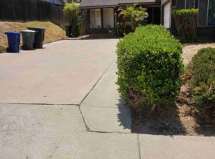 Bush Trimming by Orlando Miranda for Samantha A. in Chula Vista, CA
