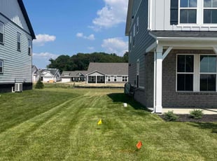 Cecelia L.'s Yard Cutting service result