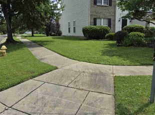 Scott S.'s Lawn Service service result