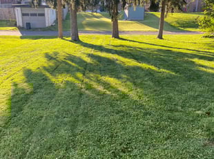 Annie F.'s Lawn Mowing Service service result
