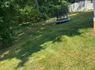 Antwan S.'s Lawn Service service result