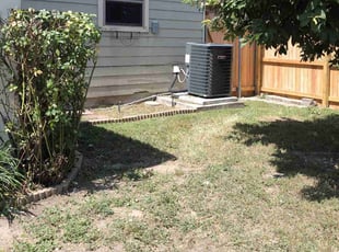 Bush Trimming by Alex Salas for David M. in San Antonio, TX