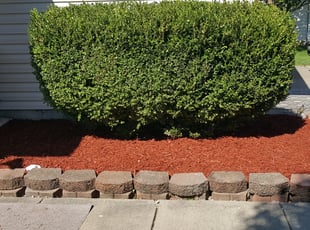 Mulching by Frank Koller for Zach S. in Indianapolis, IN