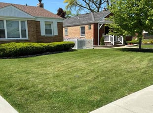Cory S.'s Lawn Care service result