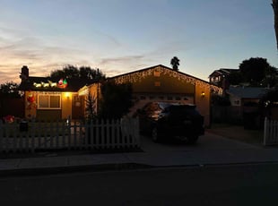 Bush Trimming by Nicholas Poulsen for David M. in San Diego, CA
