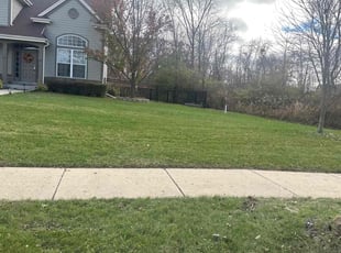 Sophia M.'s Lawn Mowing service result