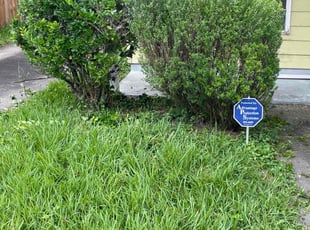 Bush Trimming by Heriberto Lopez for Tyko M. in Corpus Christi, TX