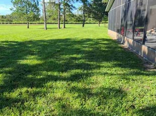 Minga O.'s Lawn Mowing Service service result