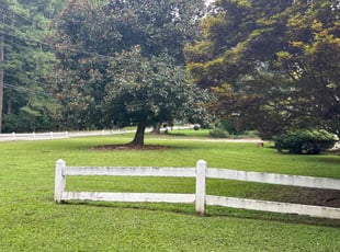 Tony P.'s Lawn Mowing service result