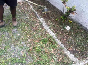 Weeding by Brieann Dollard for Lori R. in Oldsmar, FL