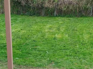 James R.'s Lawn Mowing service result