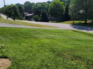 Steve V.'s Grass Cutting service result