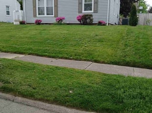 Casey M.'s Yard Cutting service result