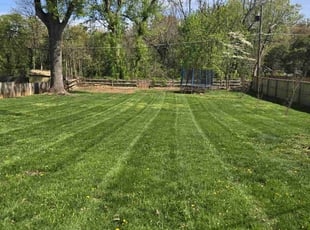 Caryn C.'s Lawn Maintenance service result