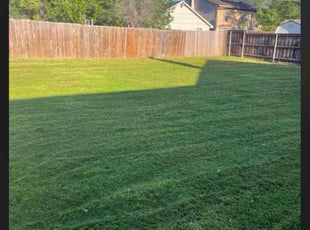 Dominique M.'s Lawn Care service result
